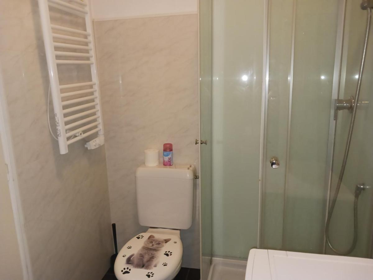 T2 50M2 Residence Les Acacias Vue Degagee Montagne Ax-les-Thermes Exterior photo